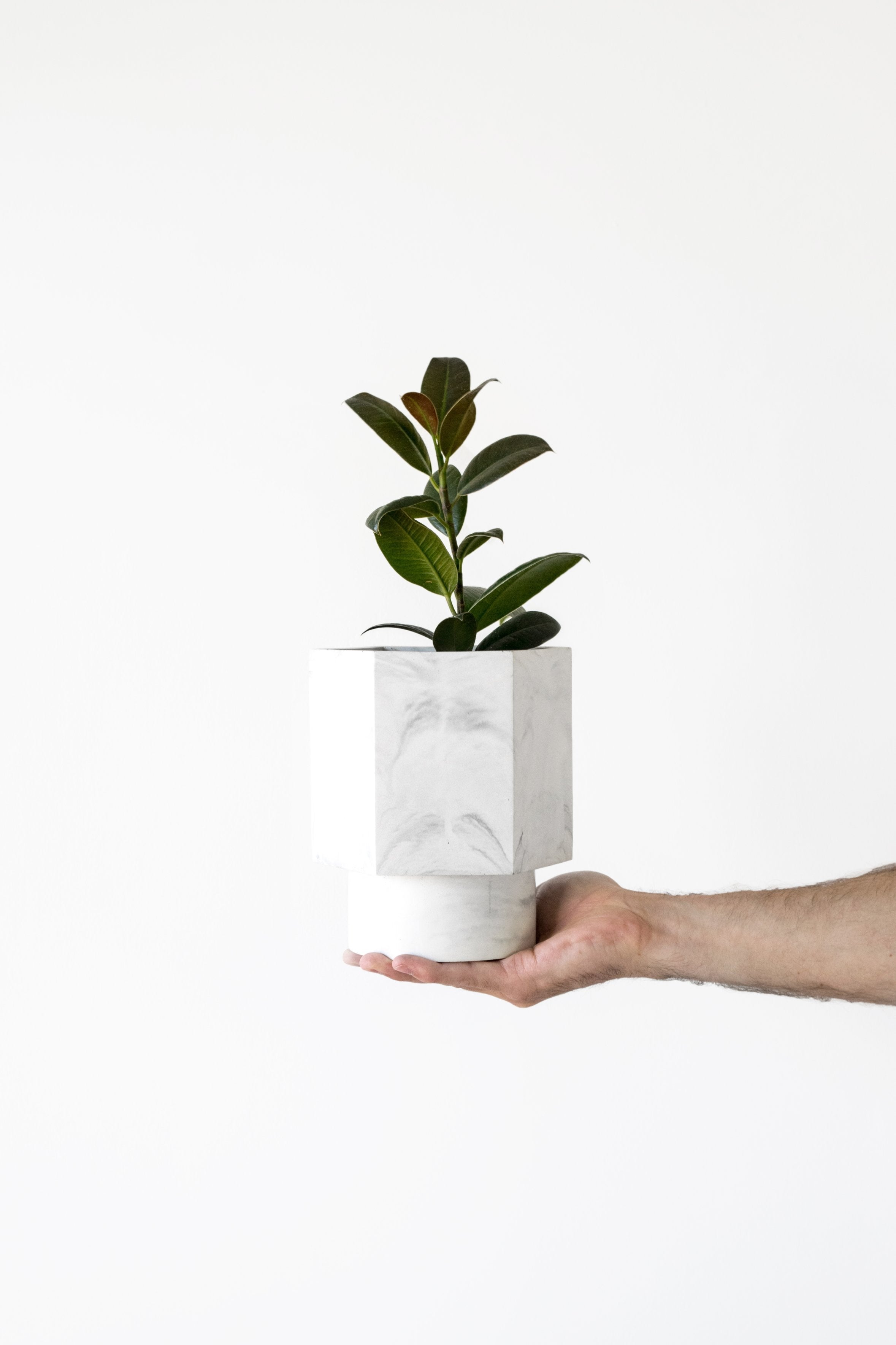 Pot Hapi Ø 12 cm - Self-regulating Pots and Vases House Raccoon 