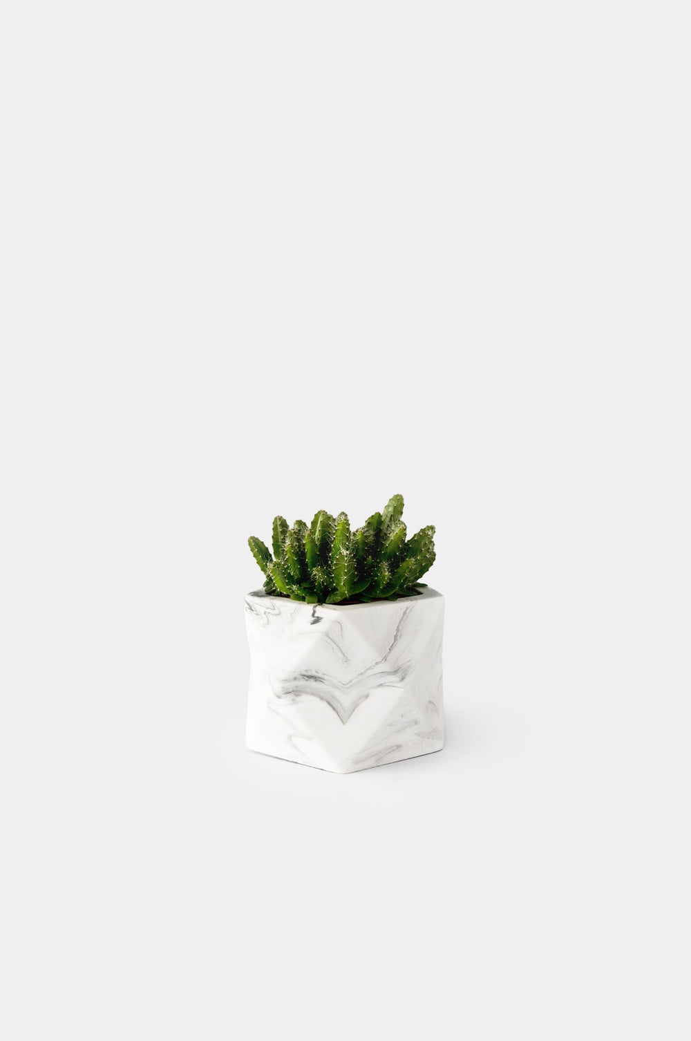 Pot Palua Ø 5,5 cm Pots and Vases House Raccoon White Marble 