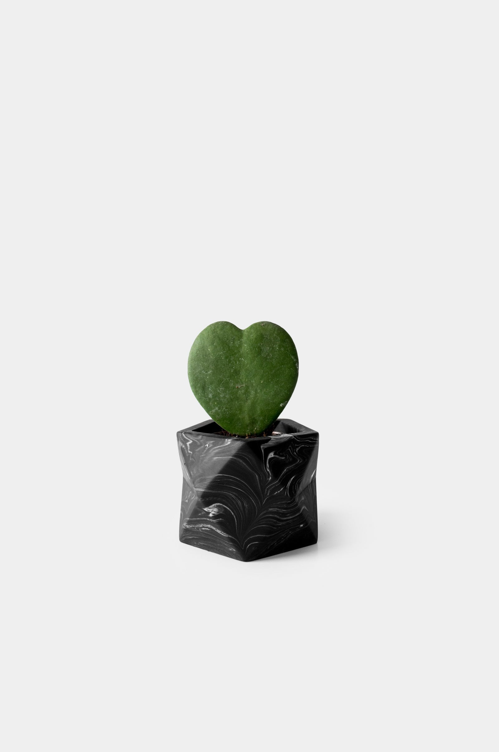 Pot Palua Ø 5,5 cm Pots and Vases House Raccoon Black Marble 